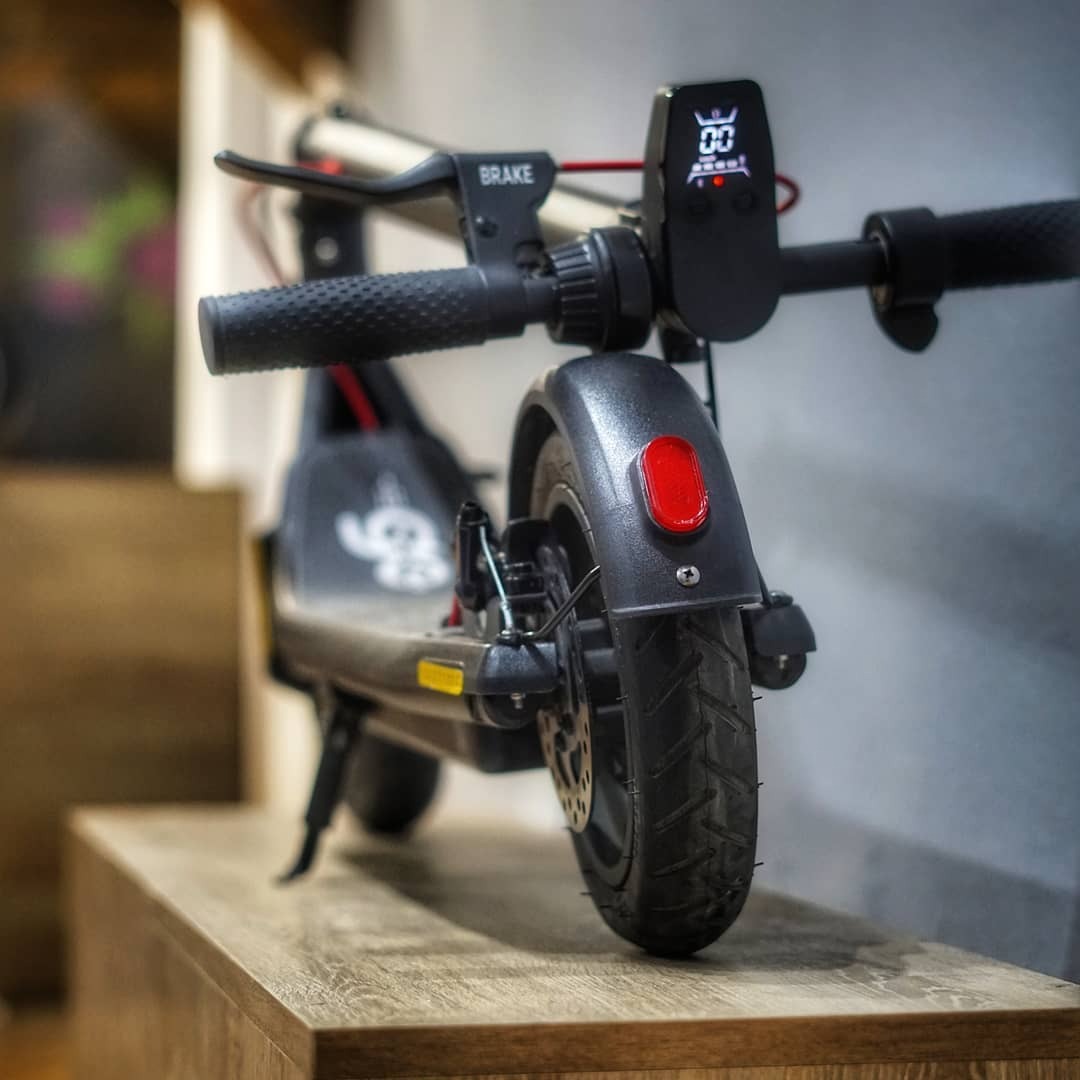 imgi_21_128930809_220256192947829_8278543362410694488_n